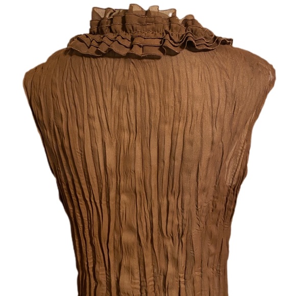 Brown Ruffle Front Blouse - Picture 4 of 4